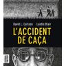 L'accident de caça