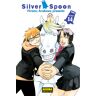 Silver Spoon 14