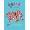 Origami fascinante