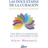 Las doce etapas de la curación