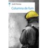 Columna de fum