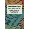 Schelling- Heidegger: abismo, inicio y libertad