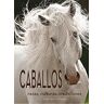 Caballos