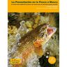 La presentación en la pesca a mosca