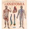 Anatomia