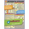 Alfaomega Ortografia Catalana