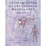 Estiramientos de las cadenas musculares