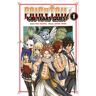 Fairy Tail 100 years quest