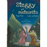 Steggy y el meteorito