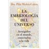 La embriología del universo