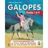 Galopes niveles 1-4