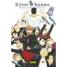 Silver spoon 15