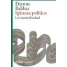 Spinoza político