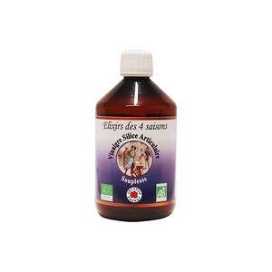 Elixir de 4 Estaciones Vinagre, Silice, Articular 500 ml - Vecteur Energy