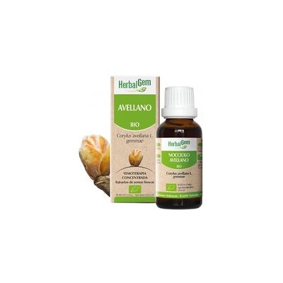 Herbalgem Nuez de avellana bio - Apoyo respiratorio - 50ml Herbalgem Nuez de avellana bio - Apoyo respiratorio - 50ml