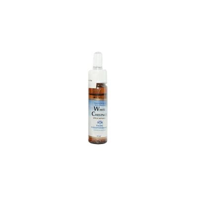 Forza Vitale Castaño de Indias - Remedio herbal emocional Forza Vitale Castaño de Indias - Remedio herbal emocional