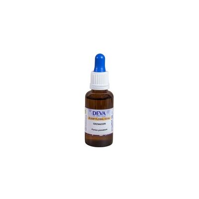 Granada ecológica 30 ml de elixir floral - Deva Granada ecológica 30 ml de elixir floral - Deva