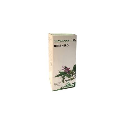 Specchiasol Gemmosol Grosella Negra 50ml Apoyo Respiratorio Specchiasol Gemmosol Grosella Negra 50ml Apoyo Respiratorio
