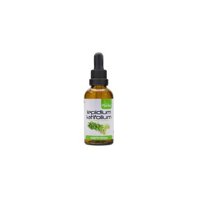Extracto de Lepidium herbal - Solución para cálculos renales Extracto de Lepidium herbal - Solución para cálculos renales