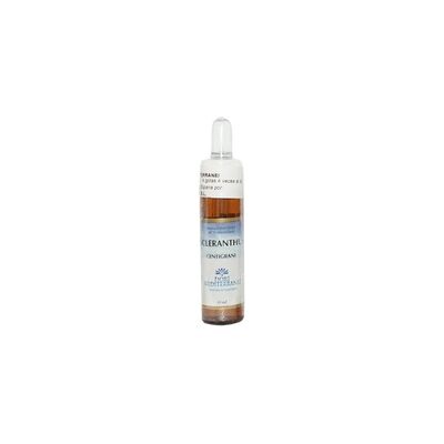 Forza Vitale FM Scleranthus - Elixir floral - 10ml Forza Vitale FM Scleranthus - Elixir floral - 10ml