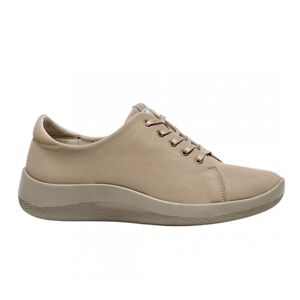 Zapatilha Daintree Arcopedico Taupe