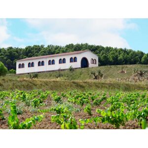 SmartBox ¡De vinos por la D.O. Penedès! 1 visita a bodega y cata de vinos