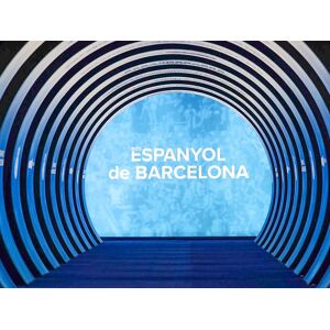 SmartBox RCD Espanyol de Barcelona: 1 visita guiada al estadio para 1 niño