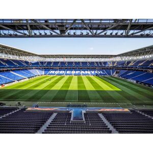 SmartBox 1 entrada de adulto para el Estadio RCD Espanyol de Barcelona