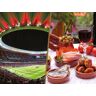 SmartBox Un brindis futbolero: tour en Cívitas Metropolitano y cata de vino o menú de tapas para 2