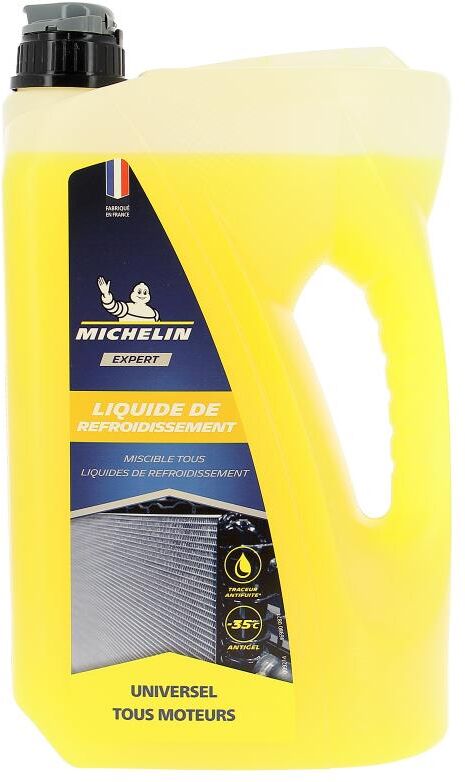 Michelin Expert universel 4L