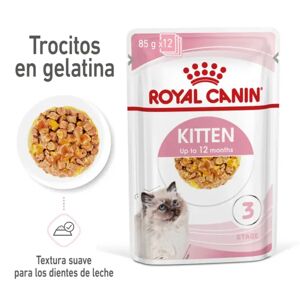 Pienso Premium Gato Royal Feline Kitten Gelatina 12X85Gr - ROYALCANIN