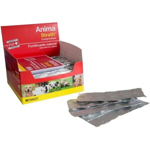 Suplementos Anima Strath 5L - STANGEST