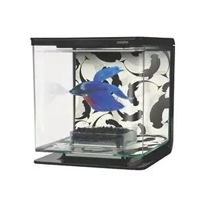 Acuario Bettas Marina Betta Kit Ying Yang 15,4x15,4x14,6 - MARINA