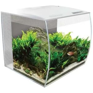 Acuario Fluval Flex Kit Acuario Blanco 34L 35x35x35 - FLUVAL