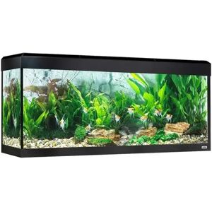 Acuario Fluval Roma Acuario Led Bluetooth 240L Negro 125,5x44x58,5 - FLUVAL