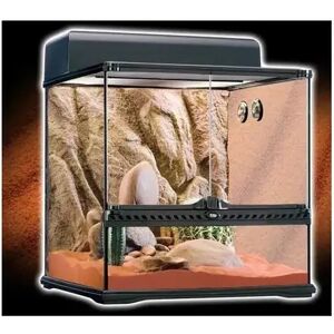 Terrarios Reptiles Exo Terra Habitat Kit Desértico 60L M. 45X45X45 - EXO TERRA