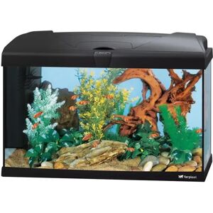 Acuarios Ferplast Acuario Capri 60 60X31,5X39,5Cm 60L - FERPLAST