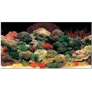 Acuarios Ferplast Fondo Acuario Imagen Doble Cara Blu 9054 120X50Cm - FERPLAST