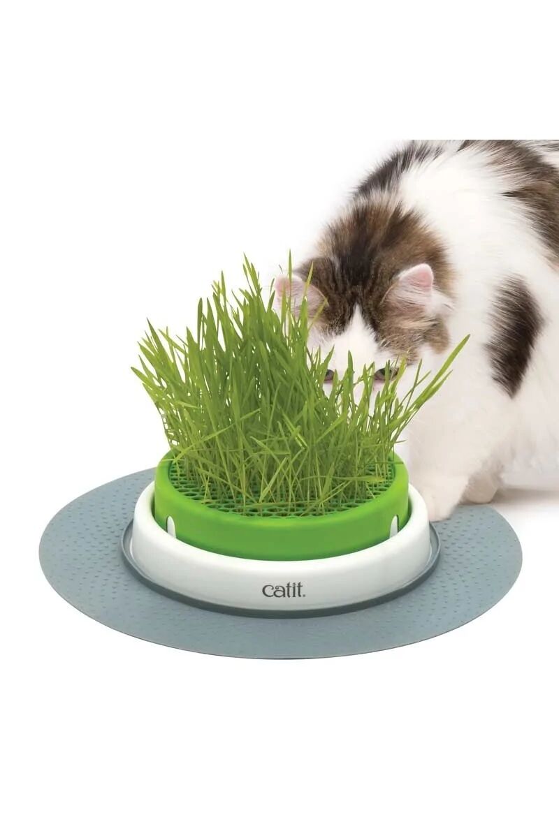 Rascadores Gatos Catit Senses 2.0 Germinador Con Hierba Gatera - CATIT