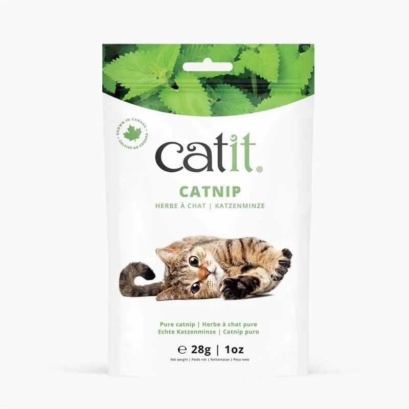 Rascadores Gatos Catit Catnip Bolsa 28G - CATIT