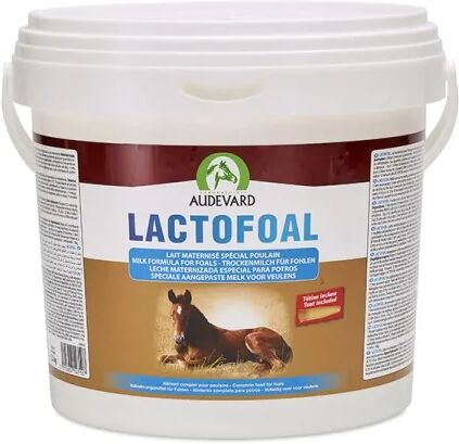 Suplemento Caballos Audevard Lactofoal 2,2Kg (Ndr) - AUDEVARD