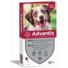 Caja de 4 Pipetas  Advantix para Perro de 10 A 25 KG - Frontline