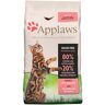 Comida Seca Gato  Applaws Cat Dry Adulto Pollo y Salmón 2kg - Applaws