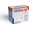 Suplementos Gato Condrovet Cachorros 120Cpds - BIOIBERICA