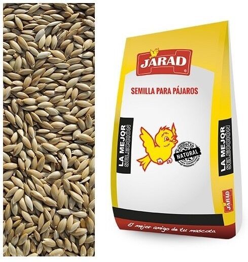 Jarad Alpiste limpio recribado 25 kg - PREMIFOOD