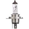 OSRAM Lámpara, faro principal para AUDI: A3, A4, Q5, Q7, A6, A5, A1, Q3, A7, SQ5, S5, S3, RS3, RS6, RS5, RS4, RS7, S4, A8, RS Q3 (Ref: 66340CBN-HCB)