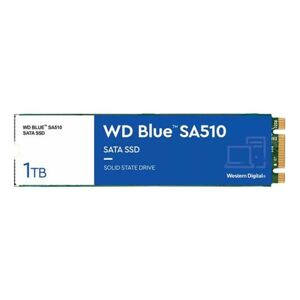 Western Digital Western wdss02wd49 ssd wd blue sa510 1tb m2 hd3454796