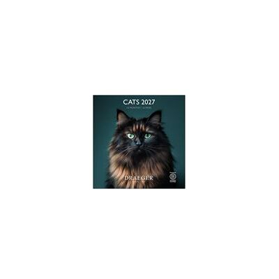 Draeger Calendario 2027 Grande Gatos Draeger Calendario 2027 Grande Gatos