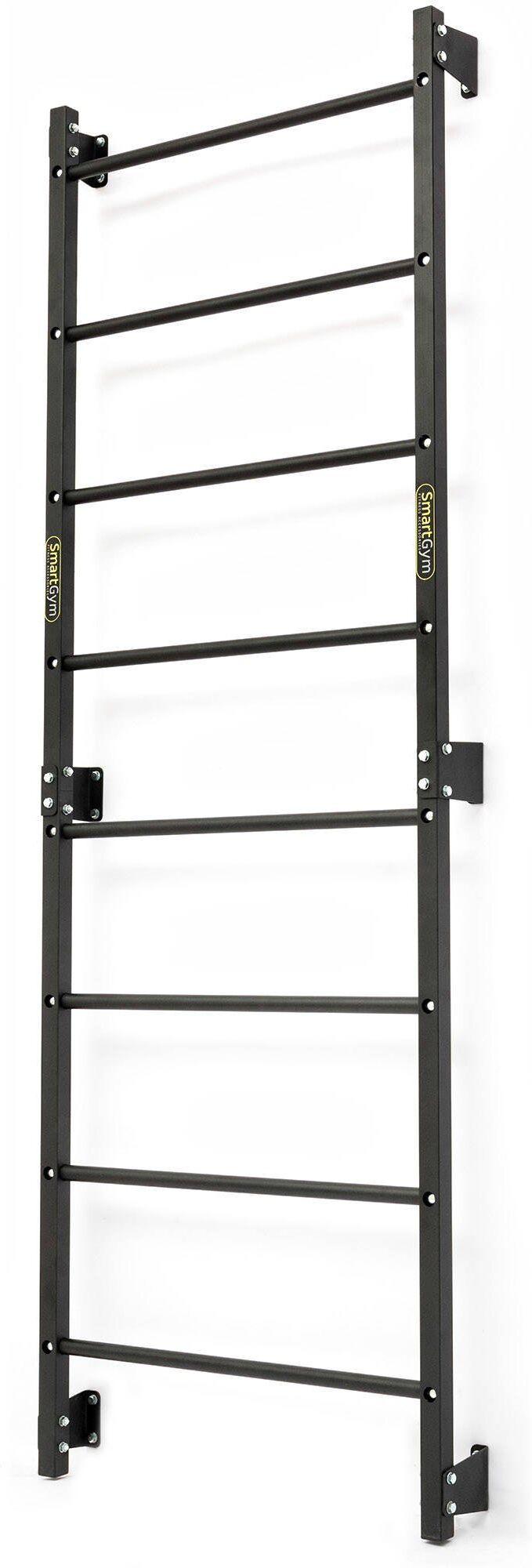 SmartGym Escalera metálica de gimnasia 219 x 76 cm SG-16 - Accesorios de fitness