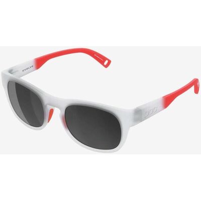 Gafas POC Evolve transparente con lente Fluo Orange Clarity POCito Sunny Grey infantil Gafas POC Evolve transparente con lente Fluo Orange Clarity POCito Sunny Grey infantil